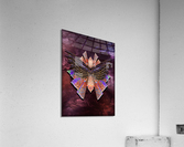 Delicate Impression acrylique