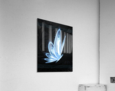Argon Acrylic Print
