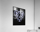 Bork Acrylic Print