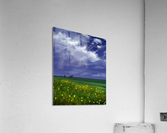 Sewn Acrylic Print