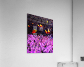 Slumber Impression acrylique