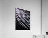 Whisk Acrylic Print