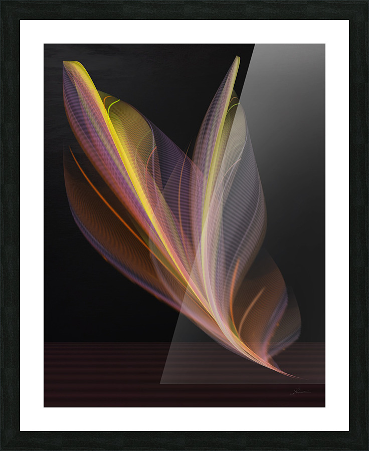 Gently Impression et Cadre photo