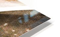 Lately HD Metal print