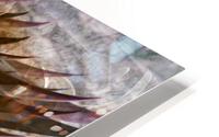 Zenith HD Metal print