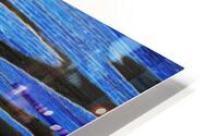 Swim HD Metal print