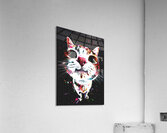 Funny cat Acrylic Print