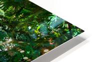 A Little Oasis HD Metal print