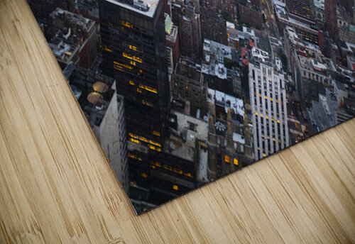 New York Kateryna Bortsova puzzle