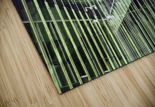 Reflection  Kateryna Bortsova puzzle