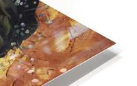 Aphrodite  HD Metal print