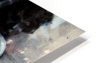 Transformation  HD Metal print