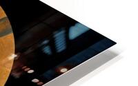 Eva with apple HD Metal print