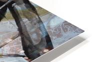 Florence  HD Metal print