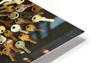 Secret Door HD Metal print