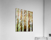 trees Acrylic Print