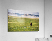 Buffalo Breeze Acrylic Print