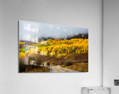 Fall Mountain Road Acrylic Print