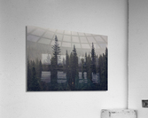 Forest Snowstorm Acrylic Print