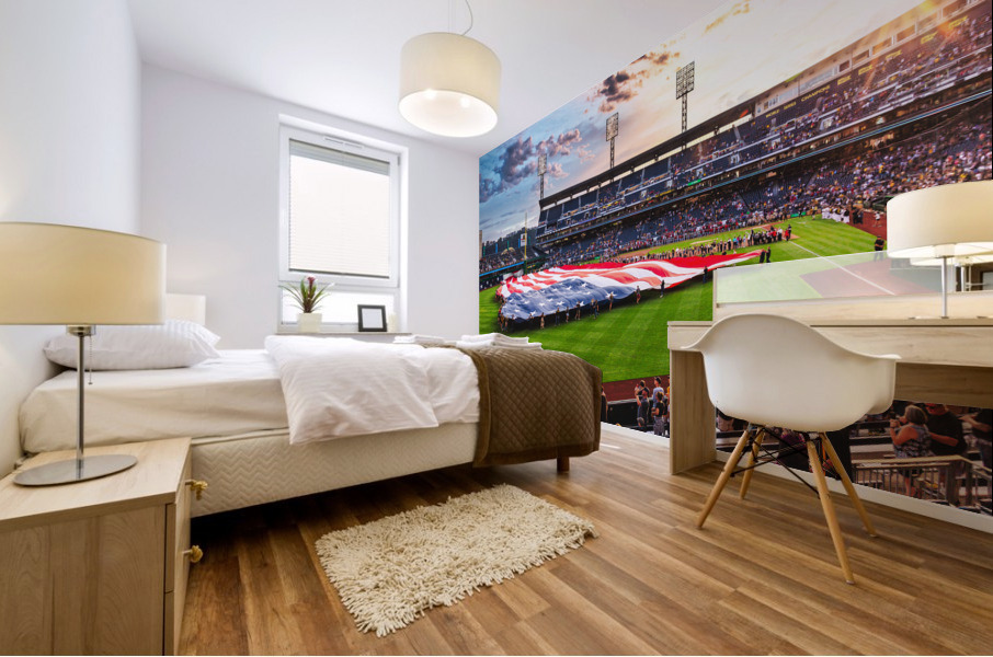 PNC Park Flag Mural print
