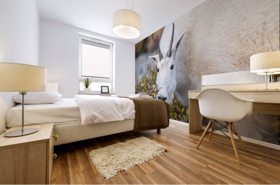 Mountain Goat Mural print