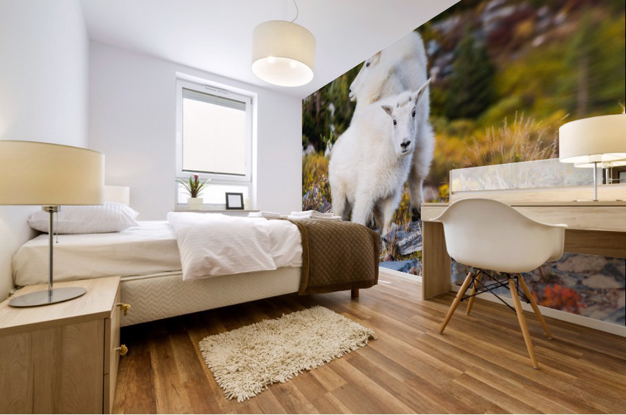 Mountain Goats Mural print
