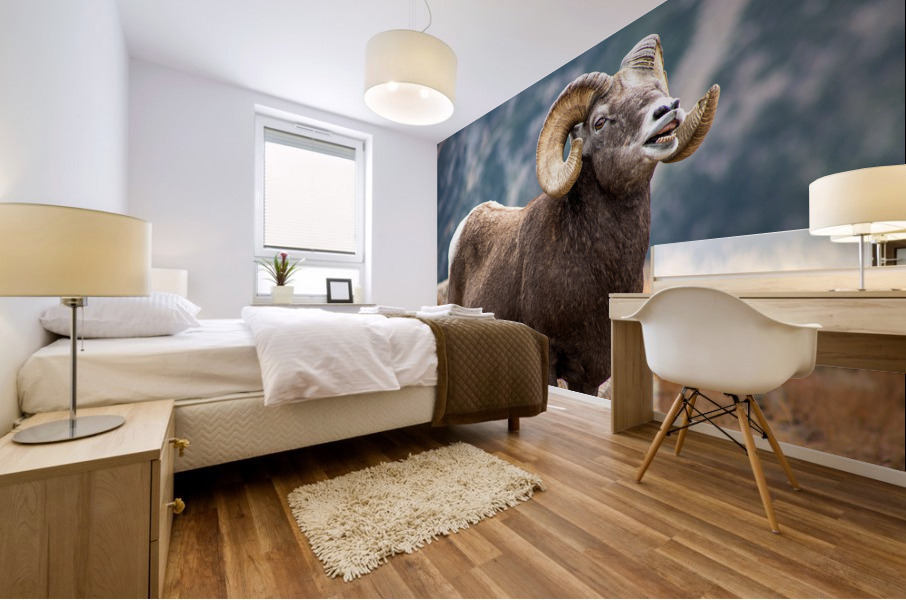 Bighorn Sheep Mural print