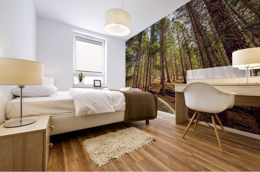 Forest Mural print