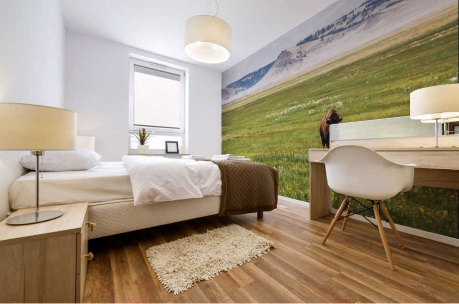 Buffalo Breeze Mural print