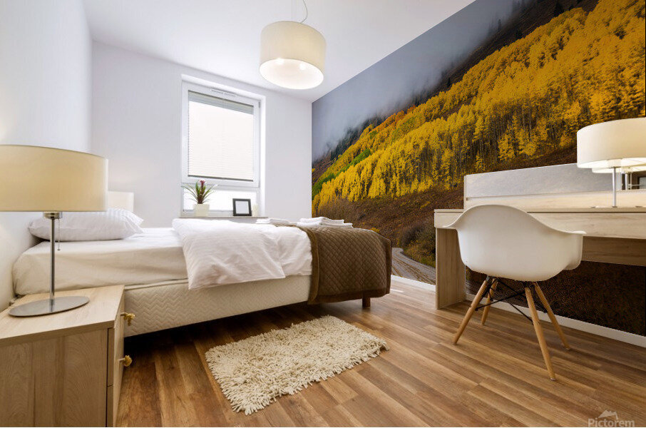 Fall Mountain Road Mural print