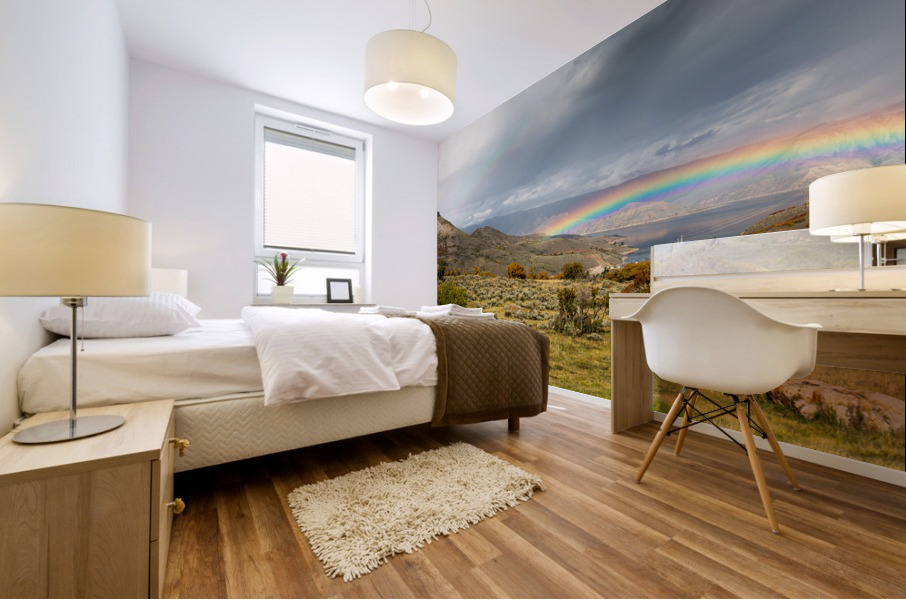 Double Rainbow Mural print