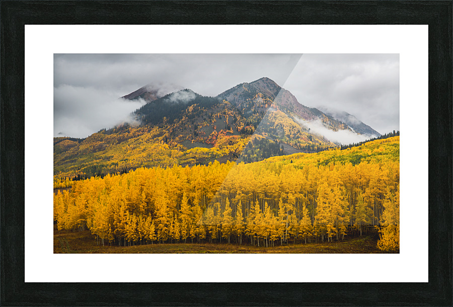 Fall Mountain Colors Picture Frame print