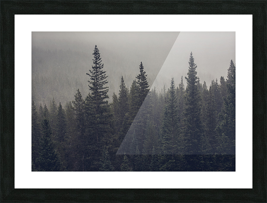 Forest Snowstorm Picture Frame print