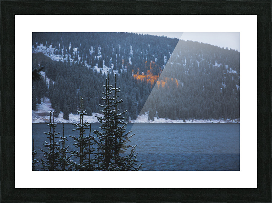  Fine Art print