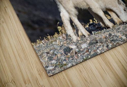 Protective Mother Brent Gudenschwager puzzle