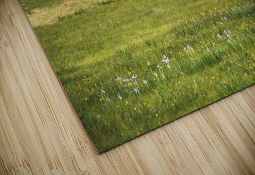 Buffalo Breeze Brent Gudenschwager puzzle