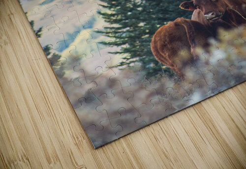 Cows With a View Brent Gudenschwager puzzle