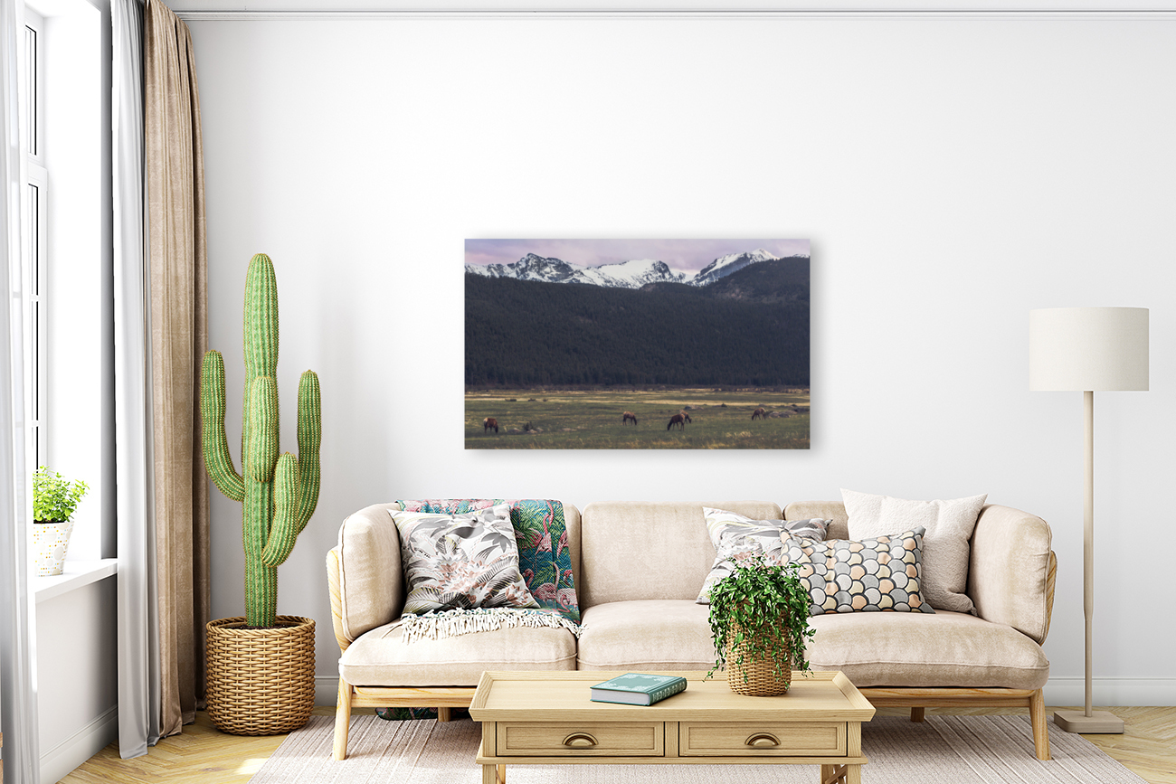 Grazing Elk Reproduction