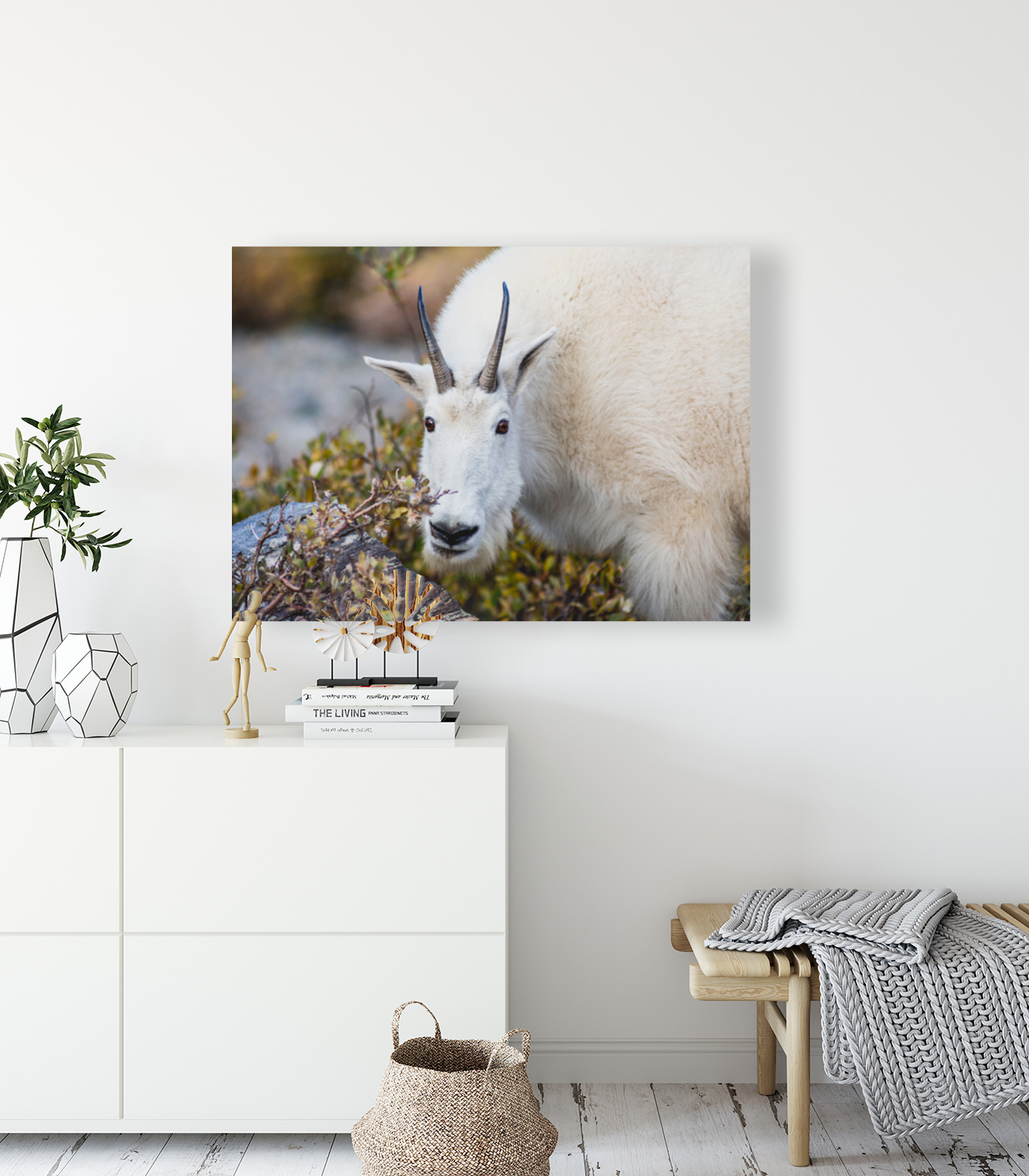 Mountain Goat Reproduction