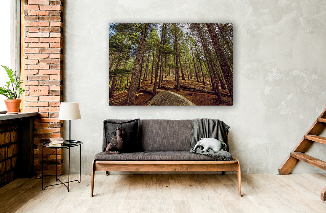Forest Reproduction