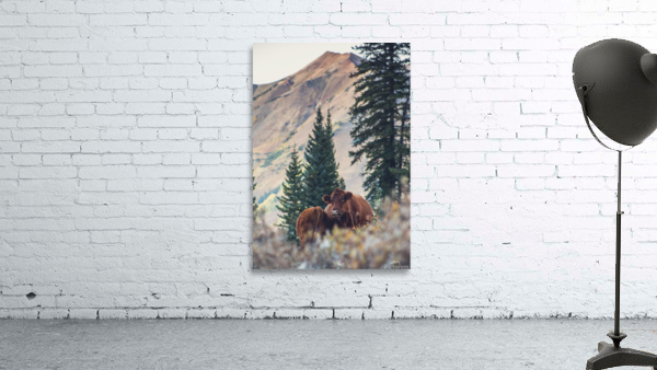 Cows With a View Wall Preview