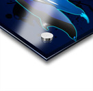 2Blue Dolphins Acrylic print