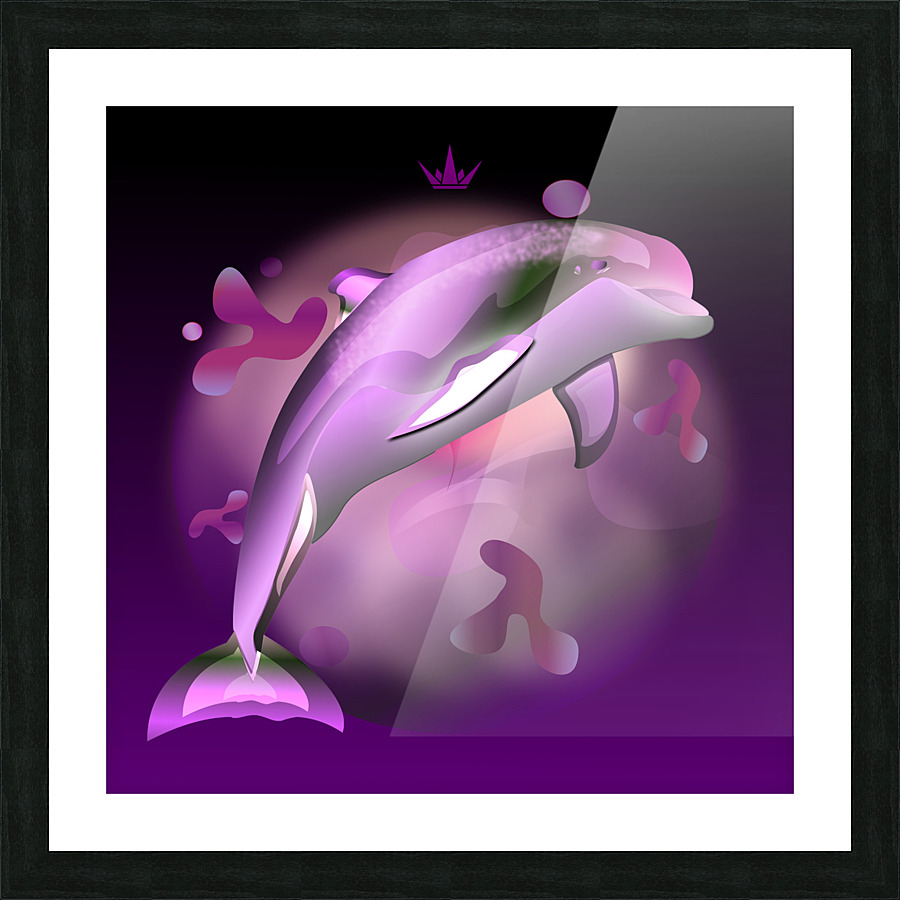 DripDrop Dolphin Picture Frame print
