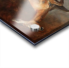 grip like a brace Acrylic print