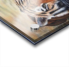 faze in gaze Acrylic print