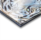 brows of grows Acrylic print