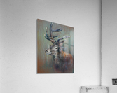 timid in rigid Acrylic Print