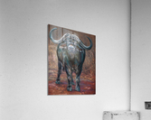 stroke of ravity Acrylic Print