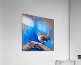 pith out stiff Acrylic Print