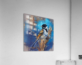 hide on by side. Acrylic Print